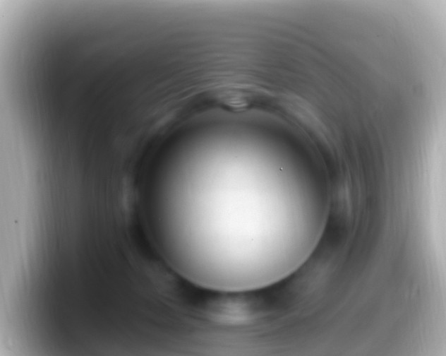 X0000099580228200805231557