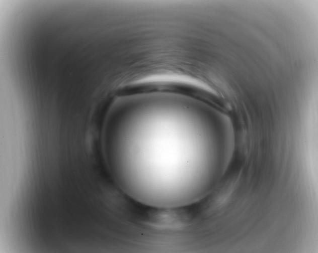 X0000099580229200805231557