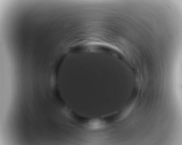 X0000099580231200805231557