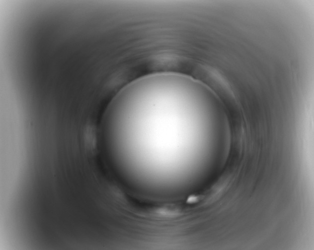 X0000099580232200805231557