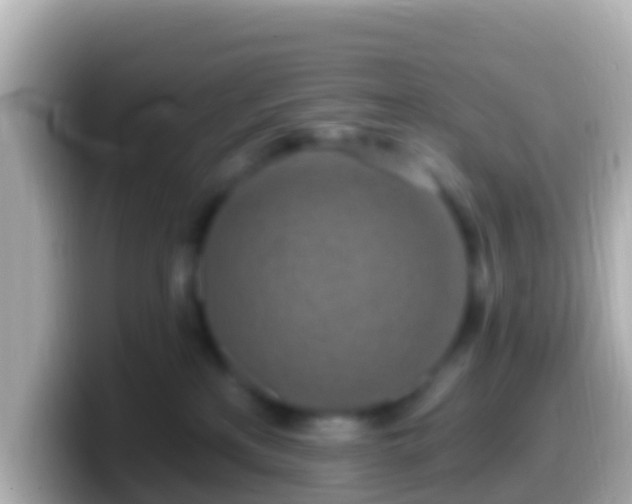 X0000099580233200805231557