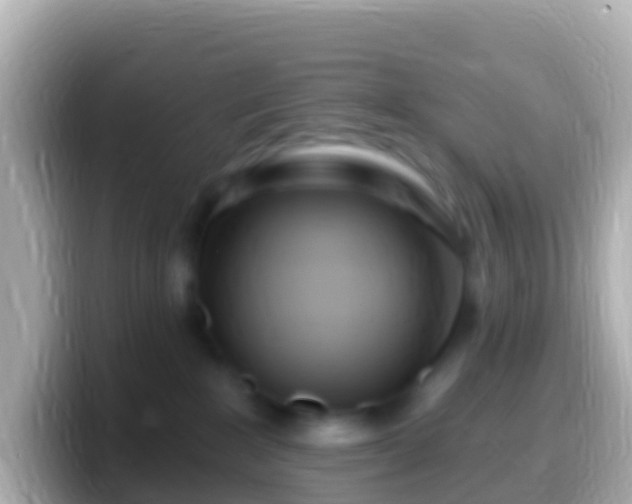 X0000099580235200805231557