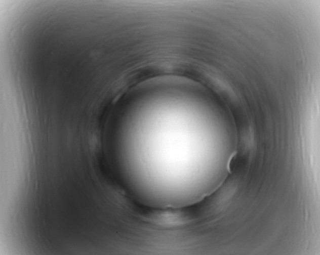 X0000099580236200805231557