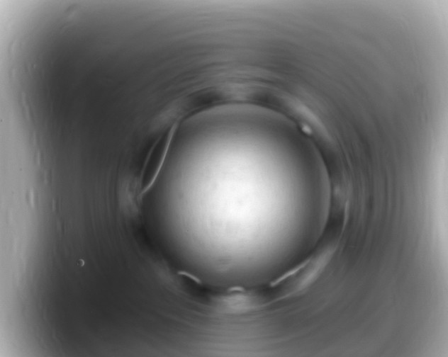 X0000099580237200805231557