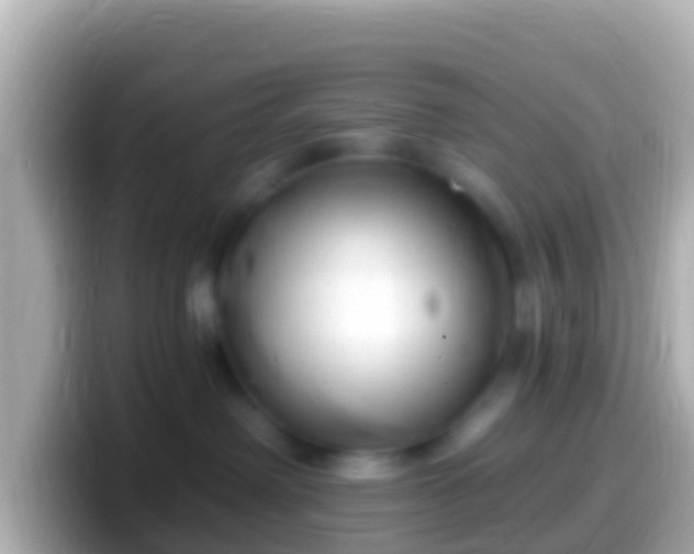 X0000099580238200805231557