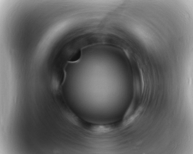 X0000099580239200805231557