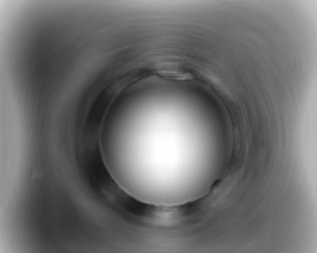 X0000099580240200805231557