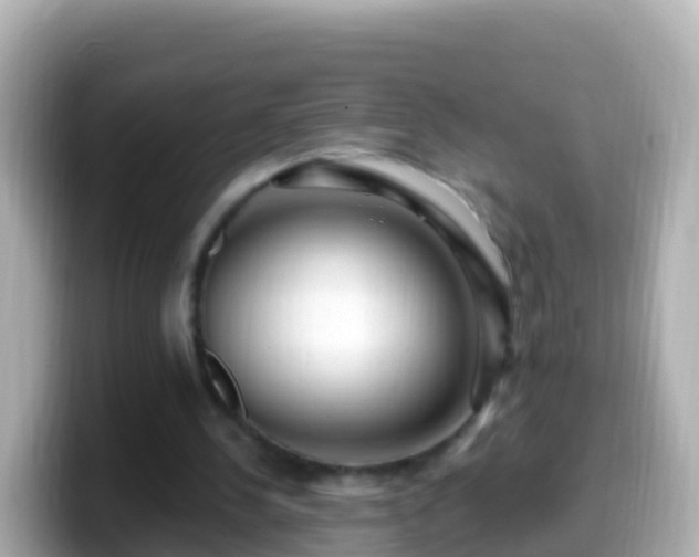 X0000099580244200805231556