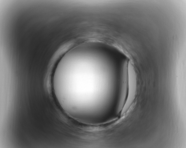 X0000099580245200805231556