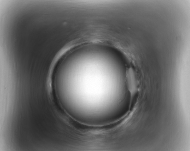 X0000099580246200805231556