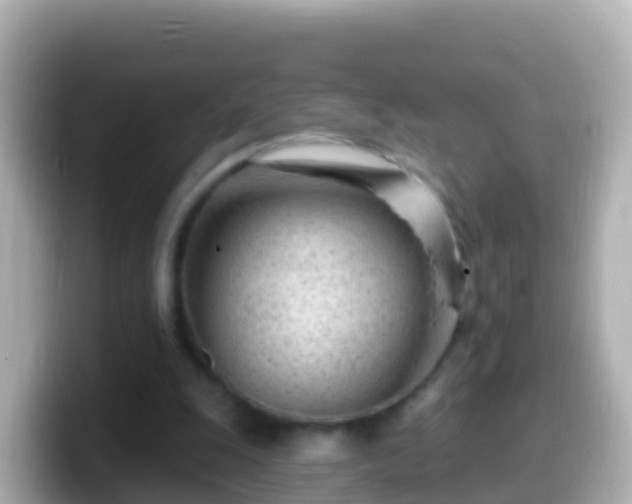 X0000099580247200805231556