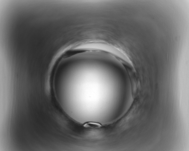 X0000099580248200805231556