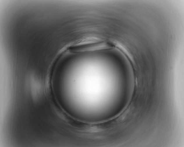 X0000099580249200805231556