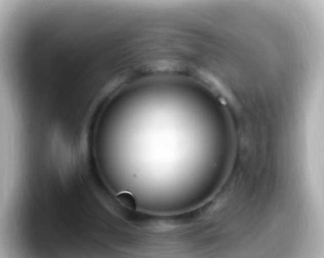 X0000099580250200805231556