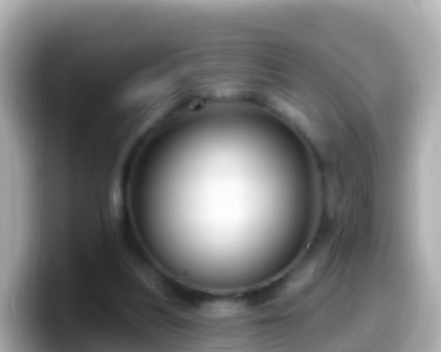 X0000099580251200805231556