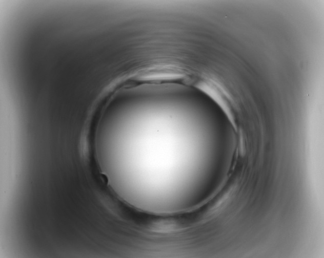 X0000099580252200805231556