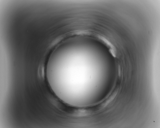 X0000099580253200805231556