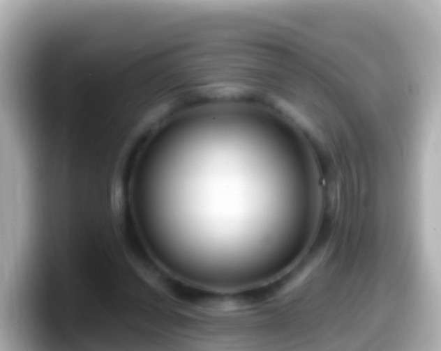 X0000099580254200805231556