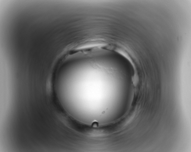 X0000099580256200805231556