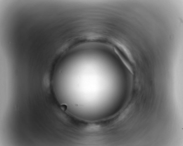 X0000099580257200805231556