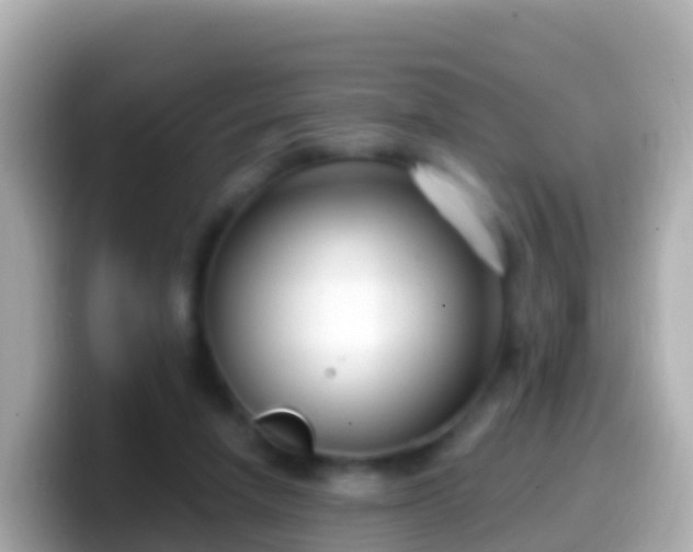 X0000099580258200805231556