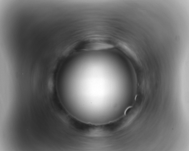 X0000099580259200805231556