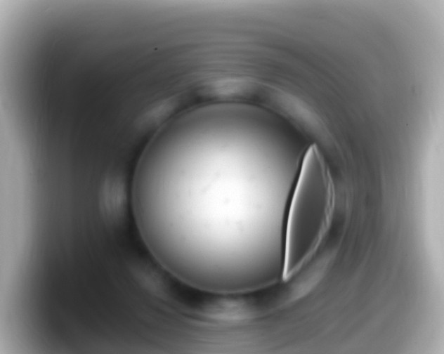 X0000099580260200805231556