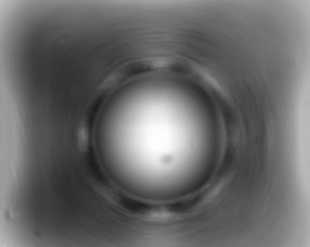 X0000099580262200805231556