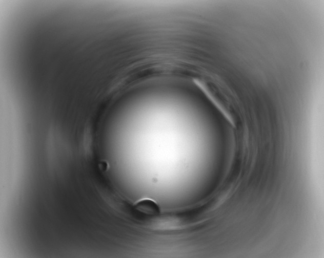 X0000099580266200805231556