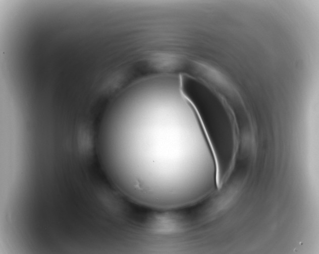 X0000099580268200805231556