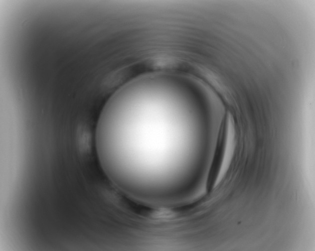 X0000099580269200805231556