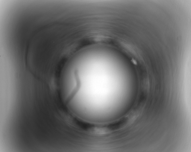 X0000099580272200805231557