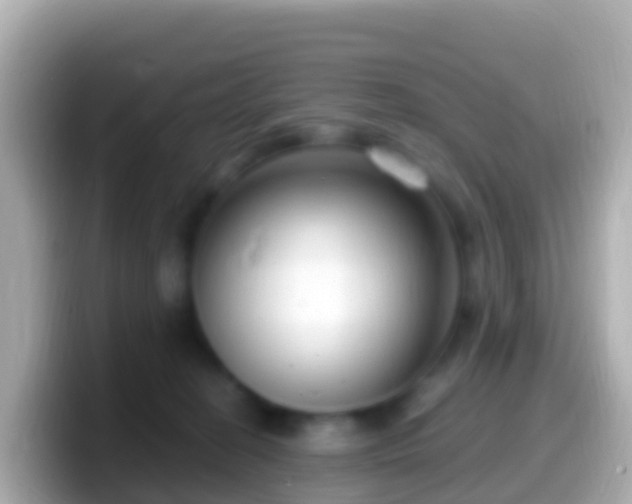 X0000099580274200805231557