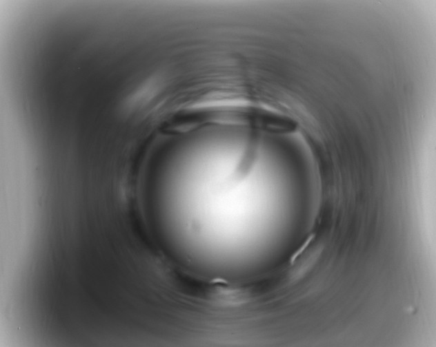 X0000099580277200805231557