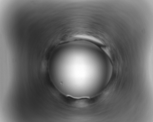 X0000099580280200805231557