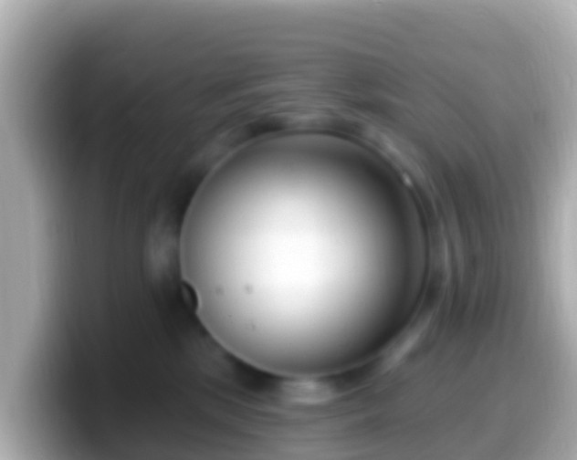 X0000099580281200805231557