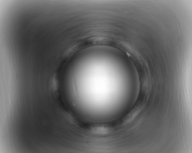 X0000099580282200805231557