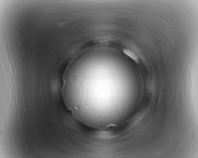 X0000099580283200805231557