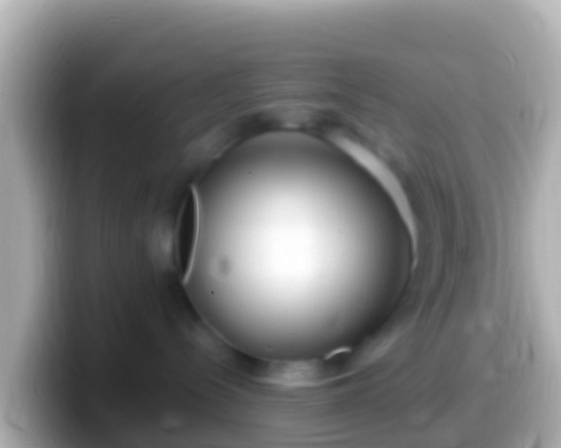 X0000099580288200805231557