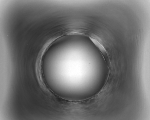 X0000099580289200805231556