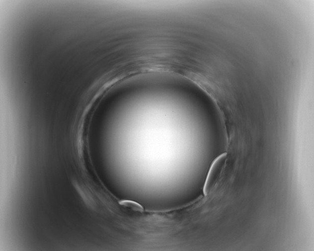 X0000099580290200805231556