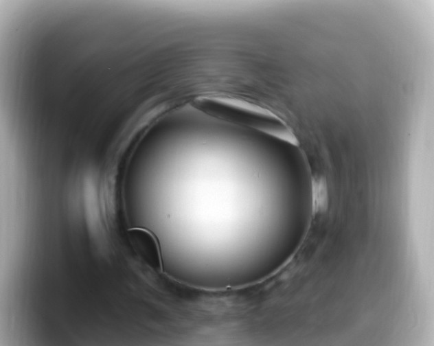 X0000099580291200805231556