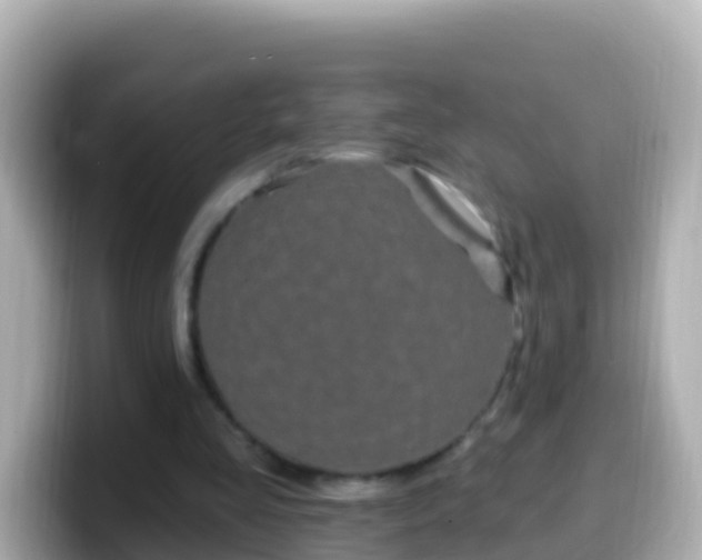 X0000099580293200805231556