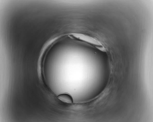 X0000099580294200805231556