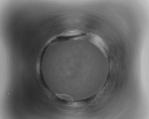 X0000099580297200805231556