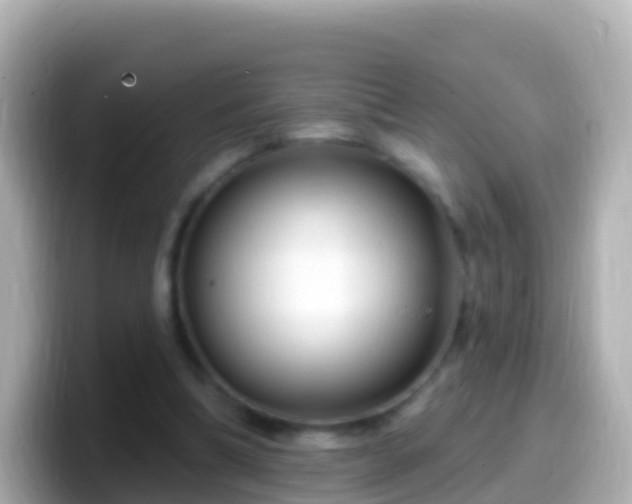 X0000099580298200805231556