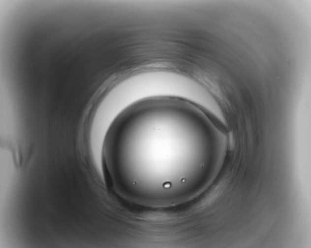 X0000099580300200805231556