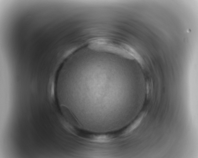 X0000099580301200805231556