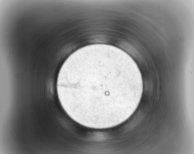 X0000099580302200805231556