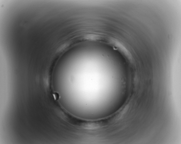 X0000099580305200805231556